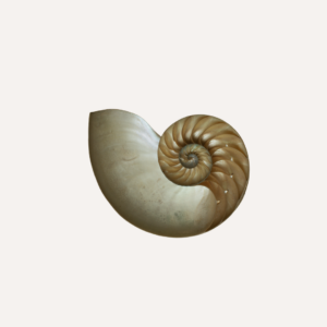 integrál családállítás 2026.02.21